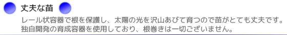 レール状の容器で根を保護し、太陽の光を沢山あびて育つので苗がとても丈夫です。独自開発の育成容器を使用しており、根巻きは一切ございません。