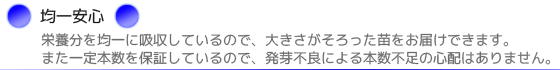 栄養分を均一に吸収しているので、大きさがそろった苗をお届けできます。また一定本数を保証しているので、発芽不良による本数不足の心配はありません。