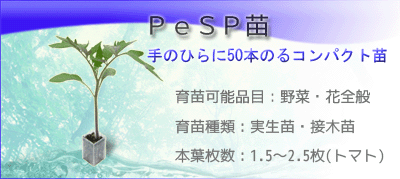 PeSPcB琬@iq蔭܂ł̋ɏɐAזEމȂȈ琬Zpj̈琬@14~~14~~23~̔̃vX`bNeň琬RpNgcłB