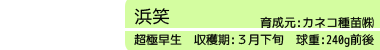 浜笑