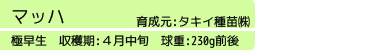 マッハ