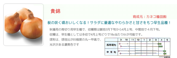 Mс@ʂ˂